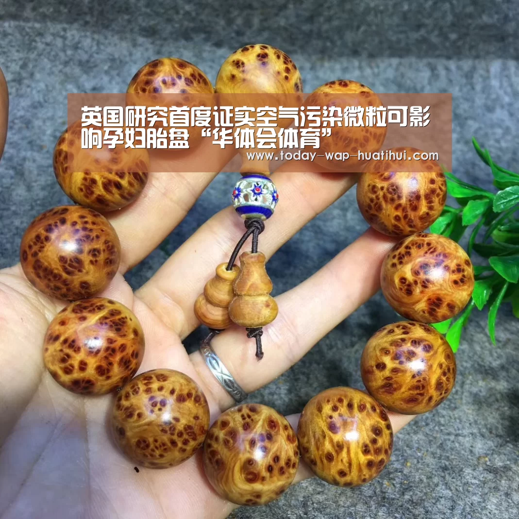 华体会体育