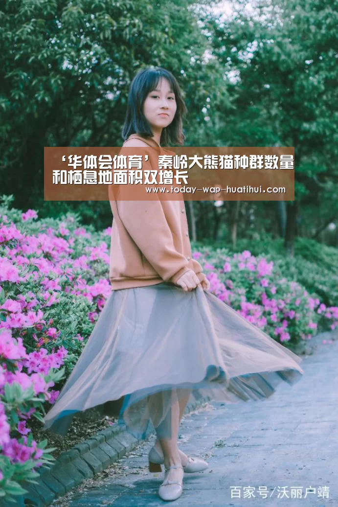 华体会体育
