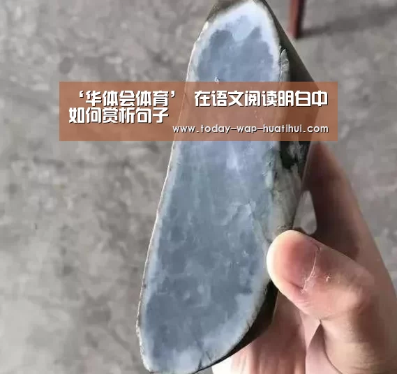 ‘华体会体育’
在语文阅读明白中 如何赏析句子(图1) 华体会体育